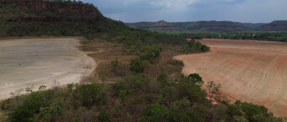 MapBiomas registra 4 décadas de mudança no uso da terra
